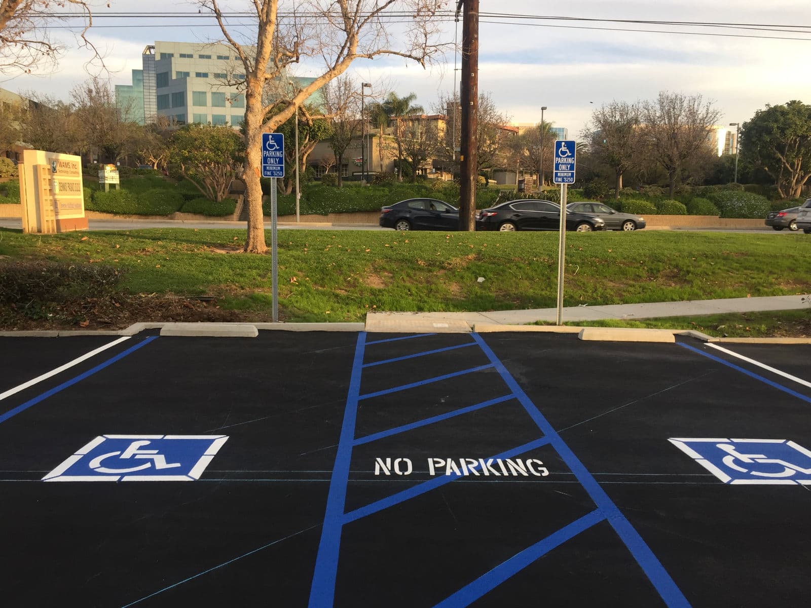 ADA-compliant handicap parking stall with access aisle and signage