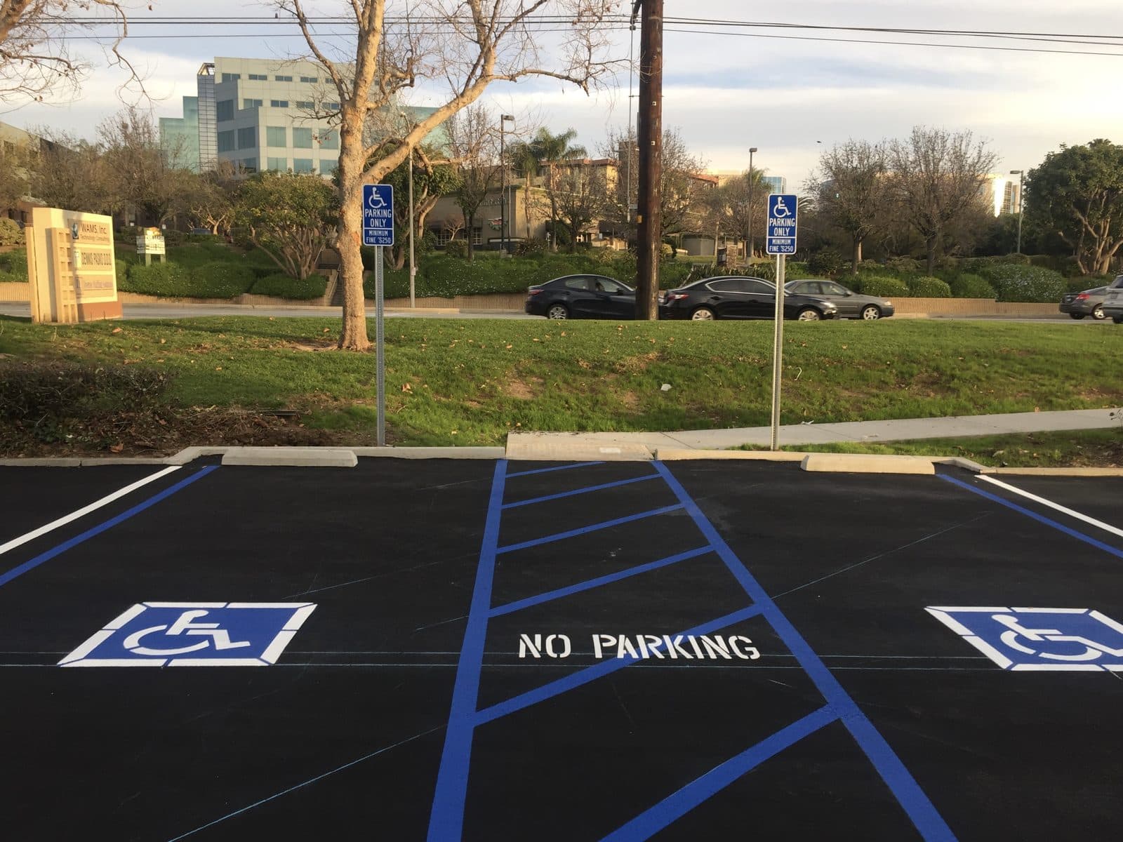 ADA-compliant stalls with blue access aisles